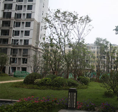 中建状元府